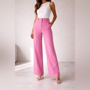 Zara Pink Wide-Leg Women's Dress Pants US XL